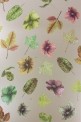 Osborne & Little -  Enchanted Gardens wallpapers (Spring 2017) (обои 5)