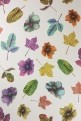 Osborne & Little -  Enchanted Gardens wallpapers (Spring 2017) (обои 9)